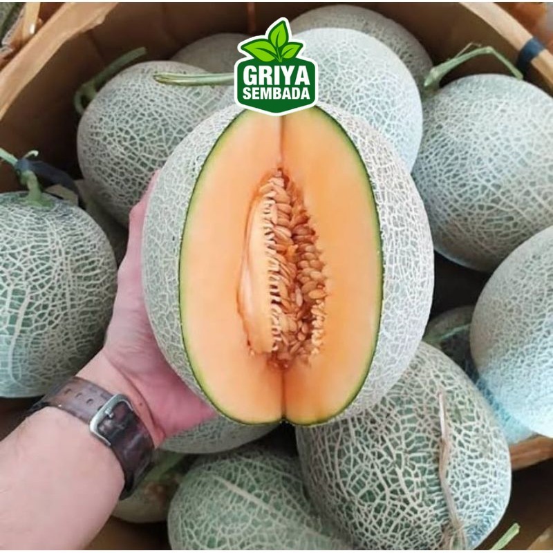 

Instant Buah melon orange super 1 buah buah manis Sameday - Griya Sembada
