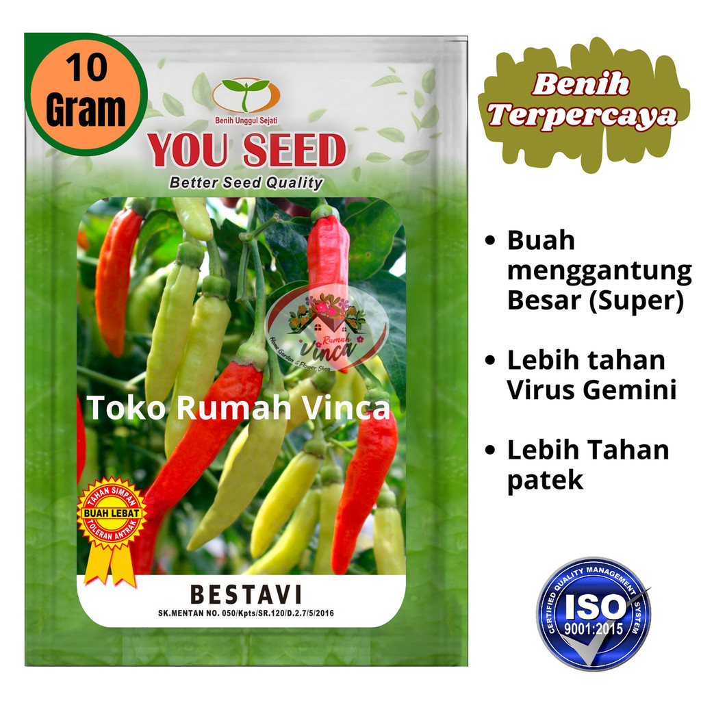 Benih Bibit Biji Cabe Rawit Setan Tipe Halbaru BESTAVI 10g Cap You Seed Tahan Virus