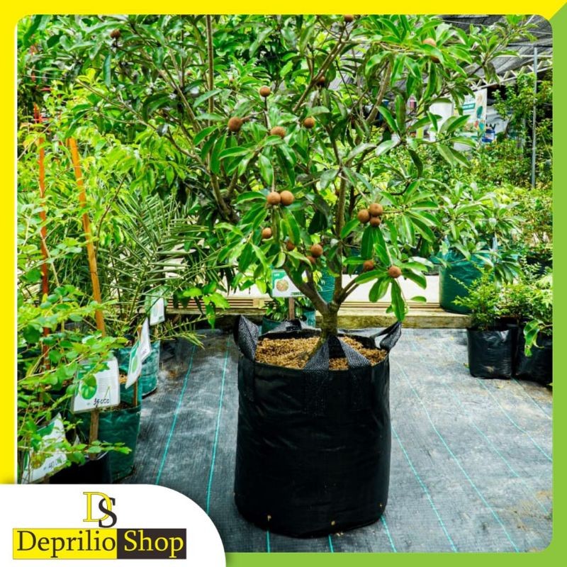 Planter Bag 100 Liter Hitam