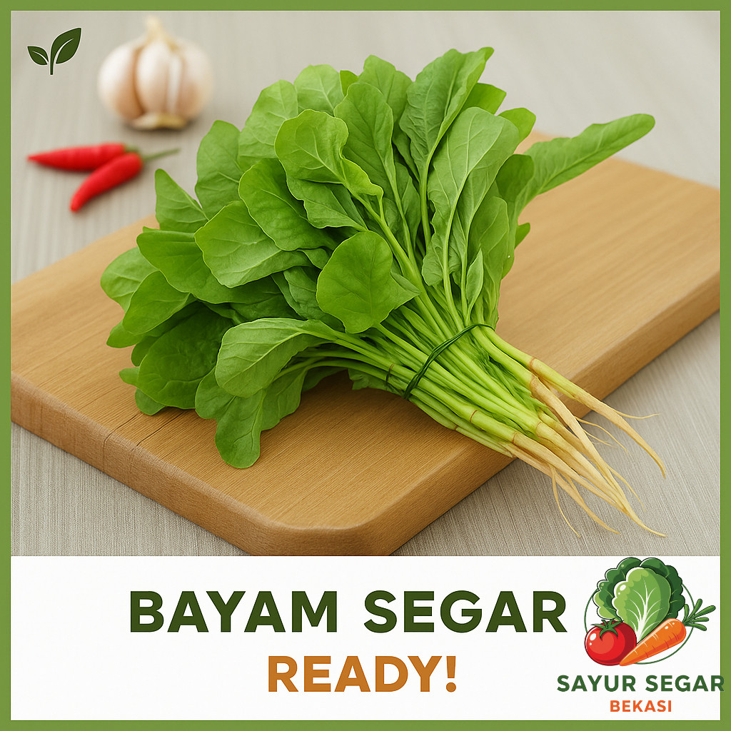 

Bayam Segar perikat