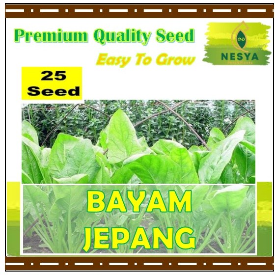 25 Biji Benih Bayam Jepang Sayuran Daun Bayam Jepang