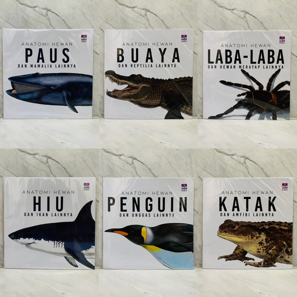 Buku Pengetahuan Anak Anatomi Hewan: Penguin dan Unggas Lainnya