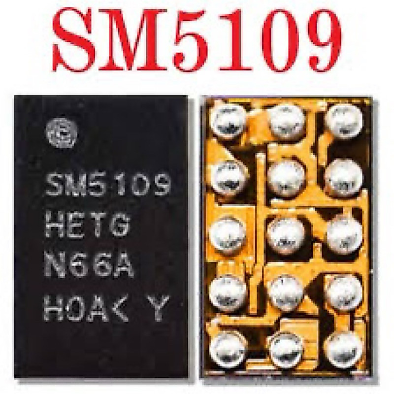 ic display SM5109