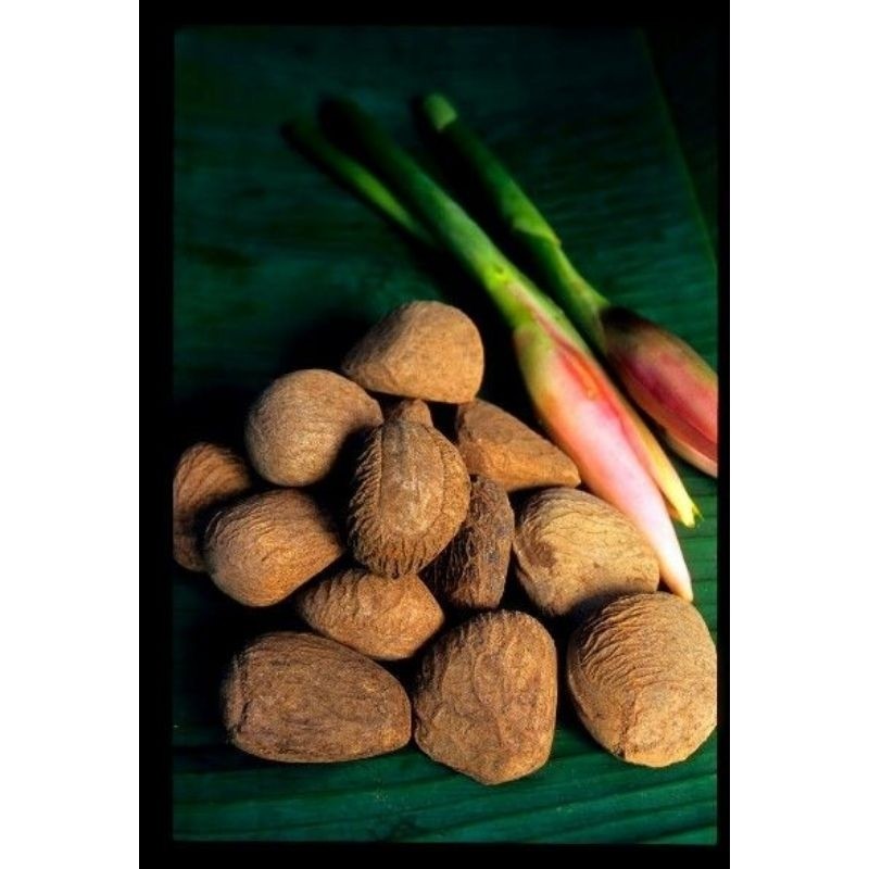 

picung / keluak,kluwek fresss 1kg