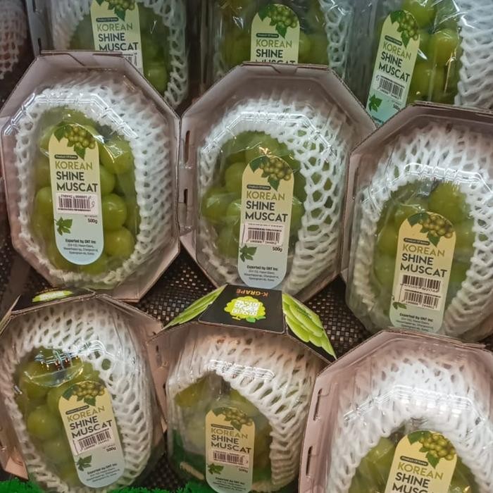 

Anggur shine muscat korea original pack anggur hijau korea super manis