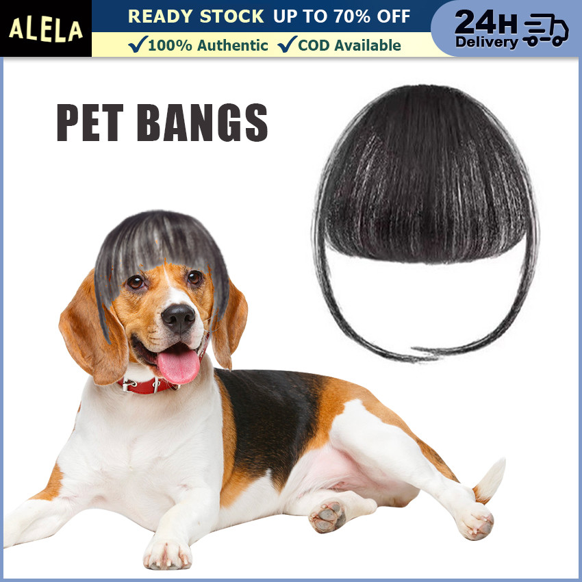 Cosplay Wig Hewan Anjing Kucing Pet Wigs Cosplay Hewan Anjing Kucing Rambut Palsu Hewan Kucing