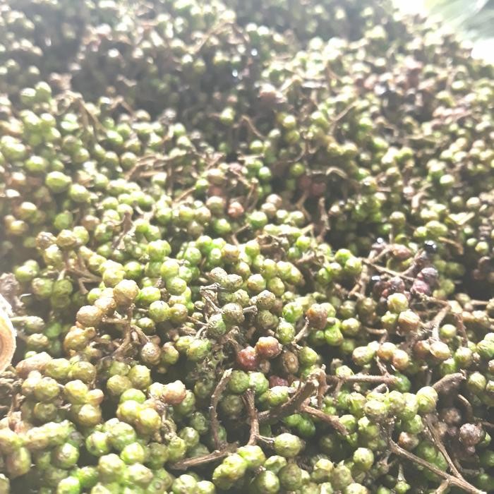 

Andaliman khas Medan 1ons SEGAR