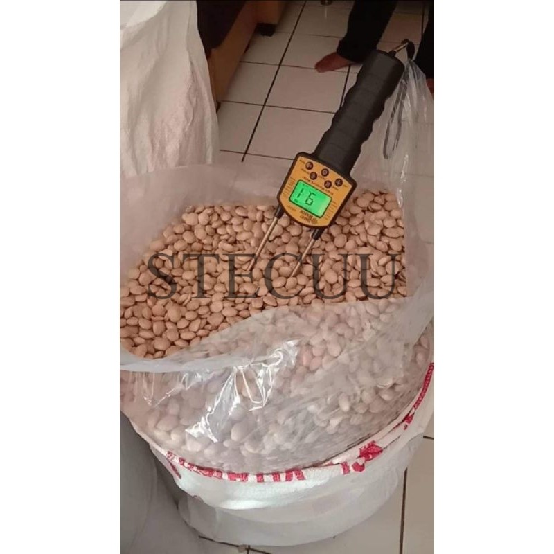 

Kacang/Biji Sacha Inchi Kupas Mentah 1kg