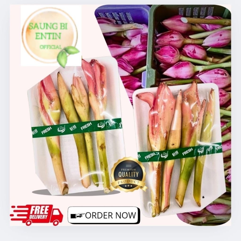 

Bunga kecombrang kuncup segar fress 1kg