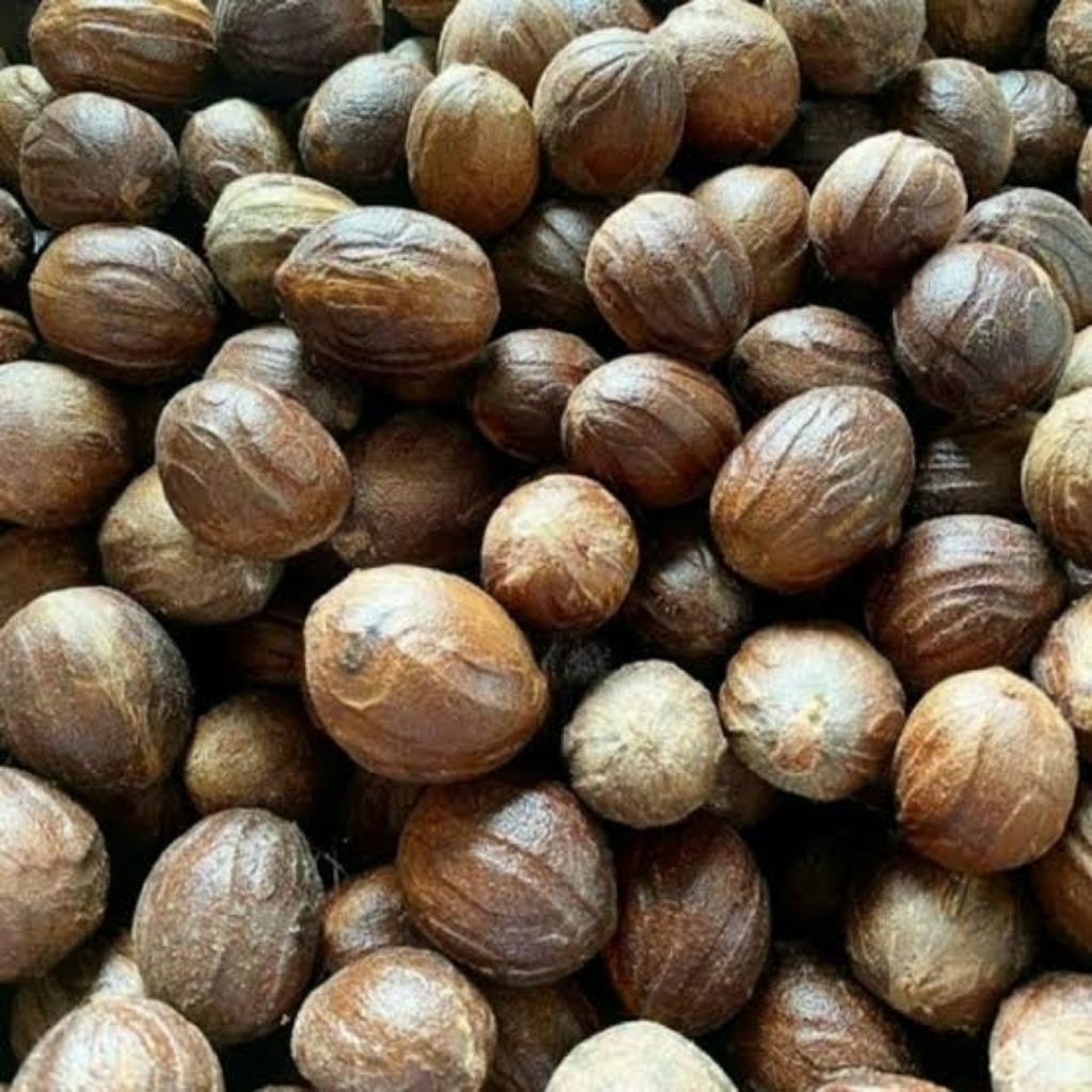 Biji Buah Pala Kering / Buah Pala Kulit Kering Super