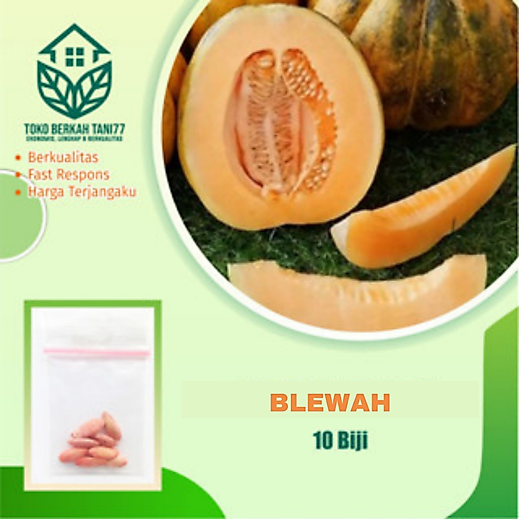 Benih Buah Blewah Bibit Buah Blewah Benih Buah-buahan Berkualitas