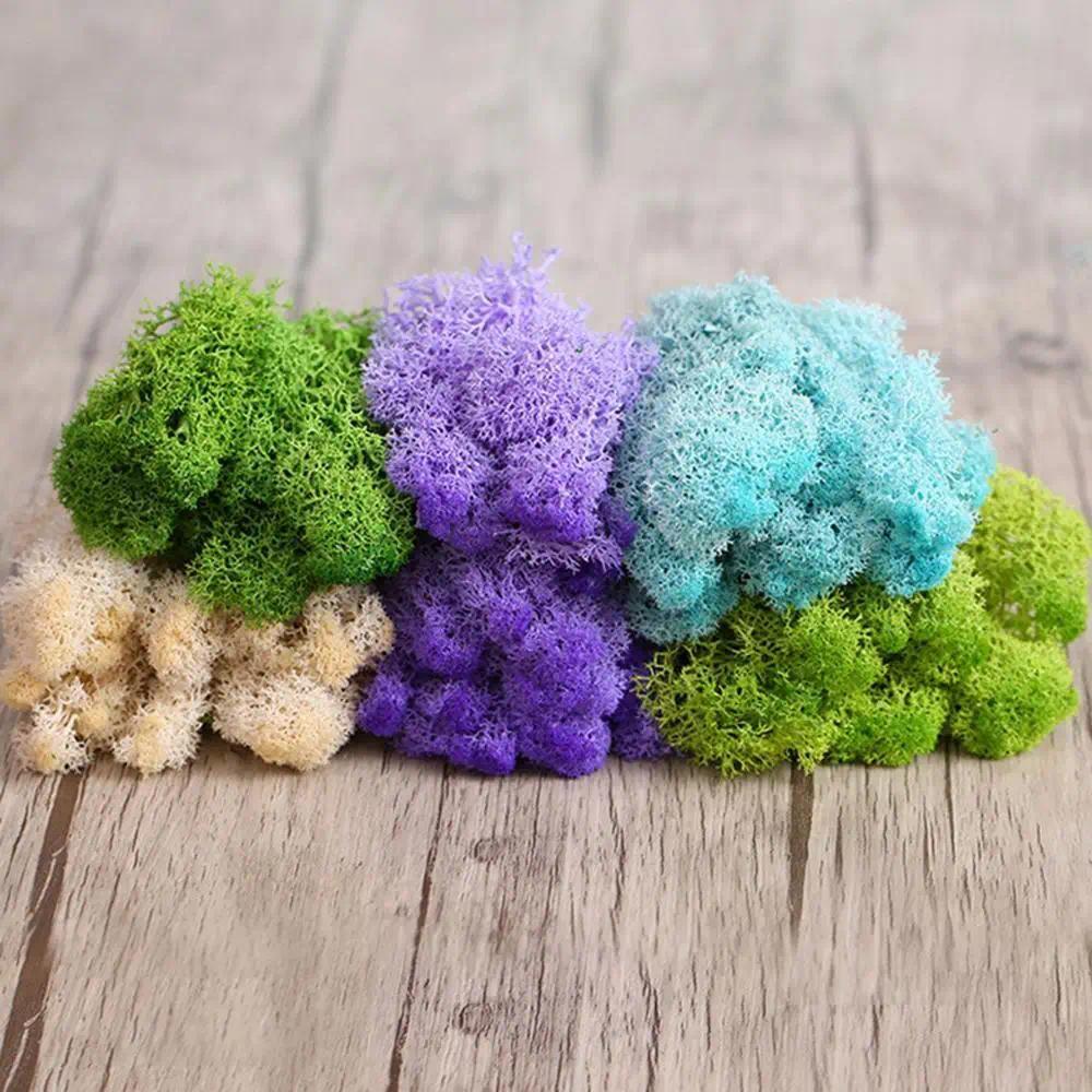 Wedng Accessories Y Wedng Decoration ristmas Flower Eternal Life Moss Artificial plant Micro Landsca