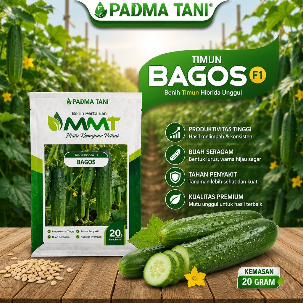 Benih Timun F1 BAGOS MMT SEED 20 Gram - Bibit Timun BAGOS BAGUS Ketimun Mentimun