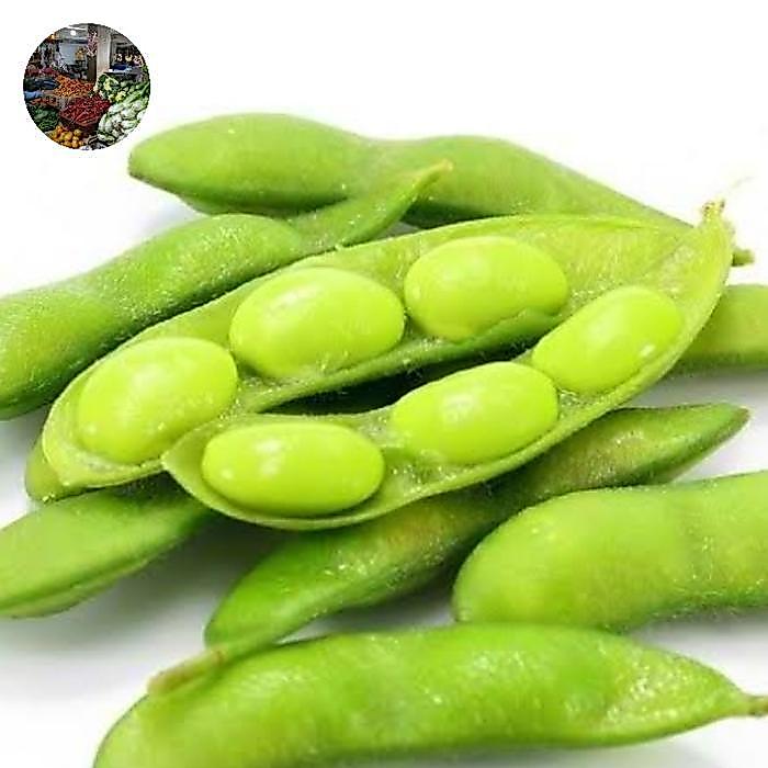 Kacang Edamame Mentah 1Kg Diskon Sell