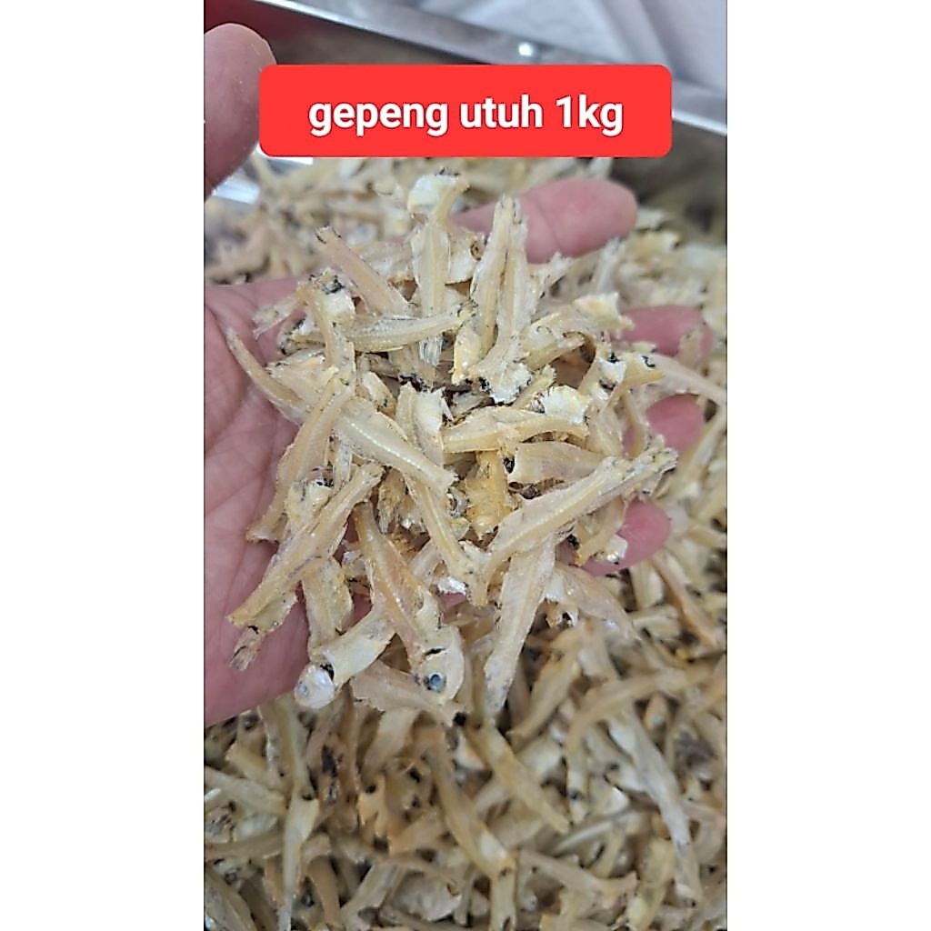 [1kg] ikan teri bilis gepeng utuh kering Tanjung pinang