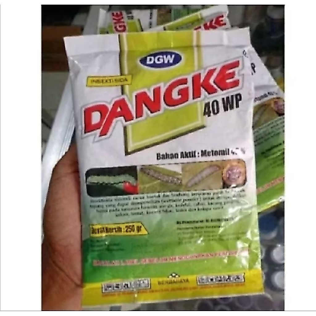DANGKE 250 gram
