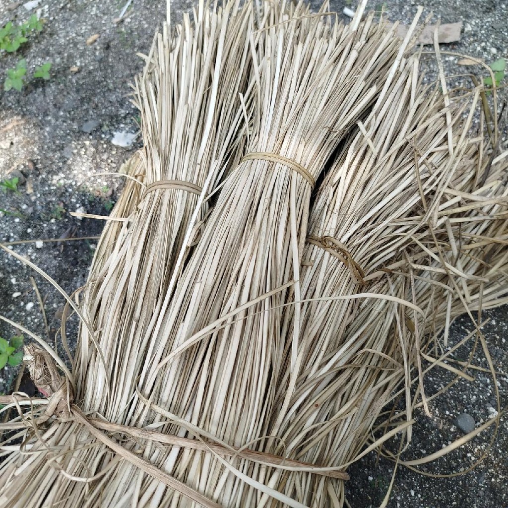 DAUN PANDAN DURI KERING UNTUK KERAJINAN