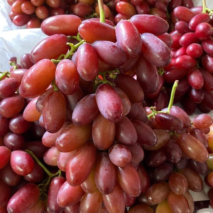 

Anggur long crimson super - Buah anggur crimson fresh 1 kg