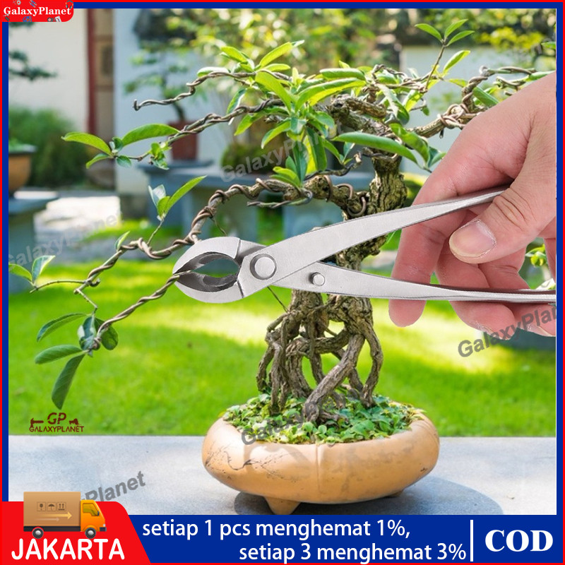 Gunting Dahan Pemotong Catok Bonsai Cembung 21cm Cabang Pohon Berkebun Tanaman Hias