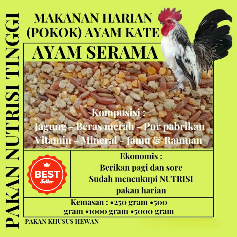 makanan harian ayam kate/serama/pakan harian pokok serama dan ayam kate lebih ekonomis