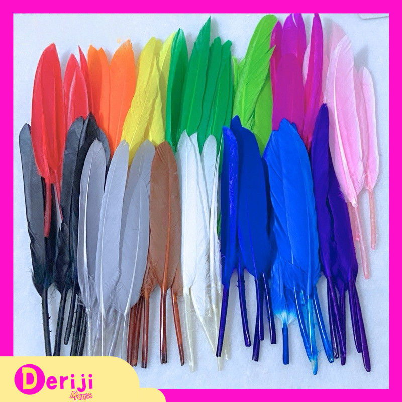 DM BULU AYAM HIAS / BULU AYAM WARNA WARNI 25pcs