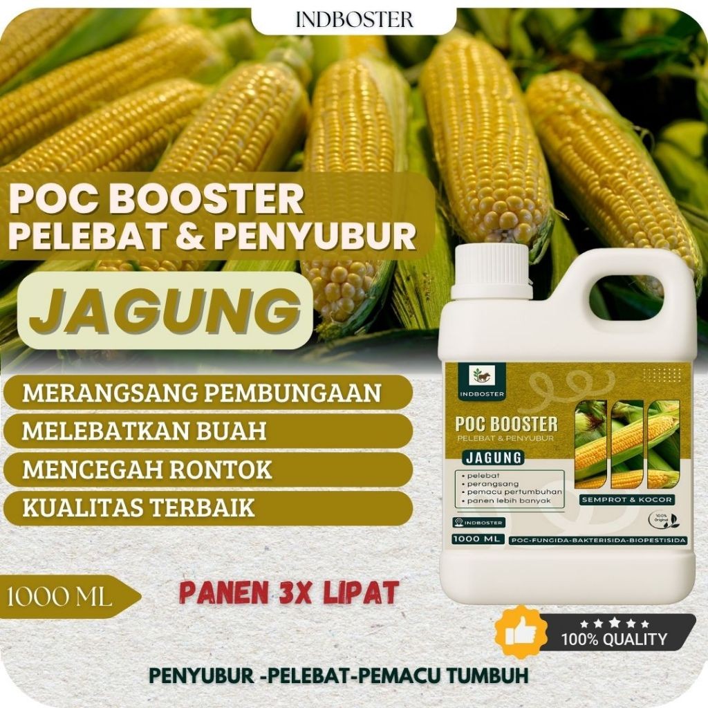 Pupuk Jagung Masa Pertumbuhan / Pupuk Jagung Pembesar Buah / Pupuk Pembesar Jagung / Pupuk Booster J