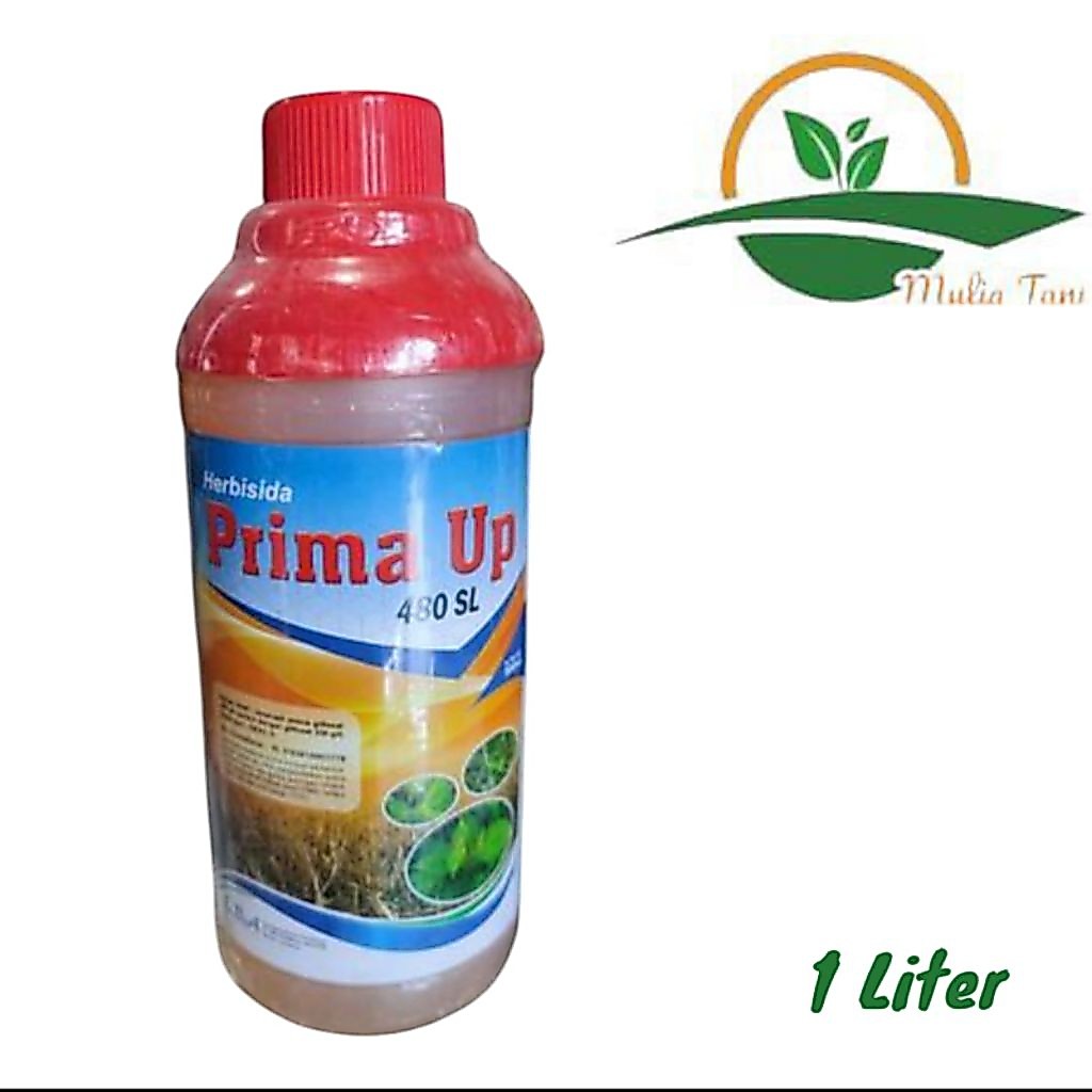 Prima Up 480 SL Kemasan 1 Liter Herbisida Sistemik