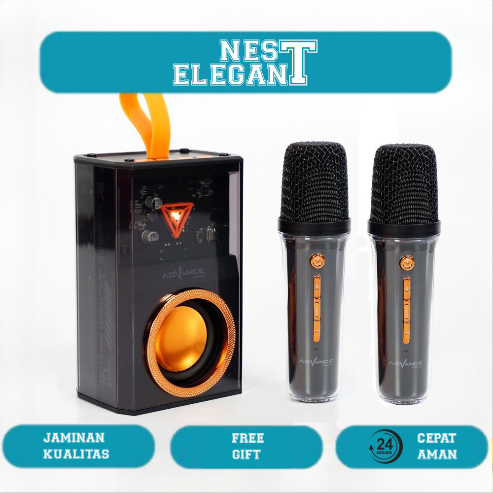 Advance Speaker Bluetooth 2Mic Wireless Microphone Bluetooth Karaoke Speaker Full Bass Portable