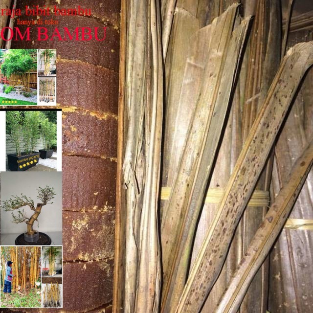 

Gula aren asli 100% organik khas Pangandara ciamis berat 1kg