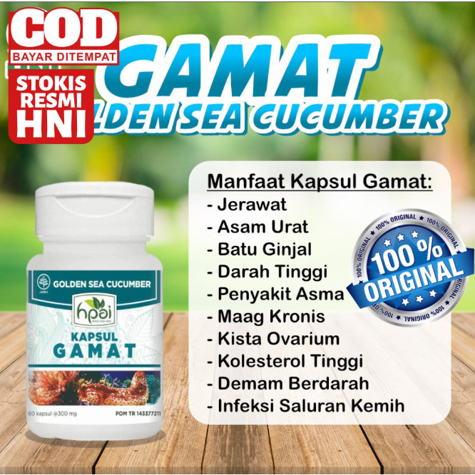 Gamat 60 kapsul HNI HPAI original