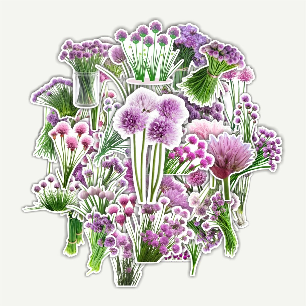 

Sticker Pack Stiker Chives Blossom Flower [Bunga Kucai] Dekorasi Lucu Kreatif untuk Notebook, Skateboard, HP