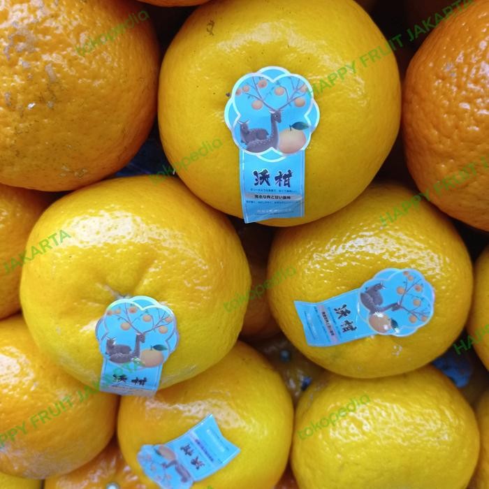 

Jeruk Wokam ex Jepang 1 kg