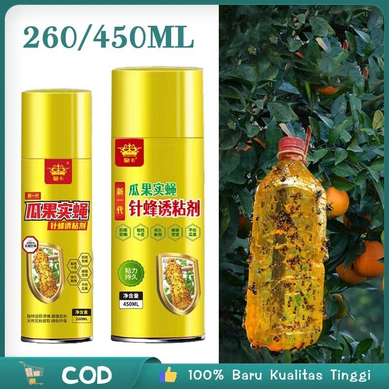 Lem Ajaib Lalat Buah Lem Perekat Lalat Buah Lem Lalat Buah Lem Untuk Lalat Buah