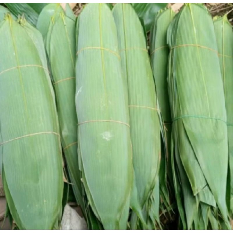 

DAUN BAMBU JUMBO Pilihan Segar Per 50 Lembar Helai Untuk Bungkus Bacang Bakcang
