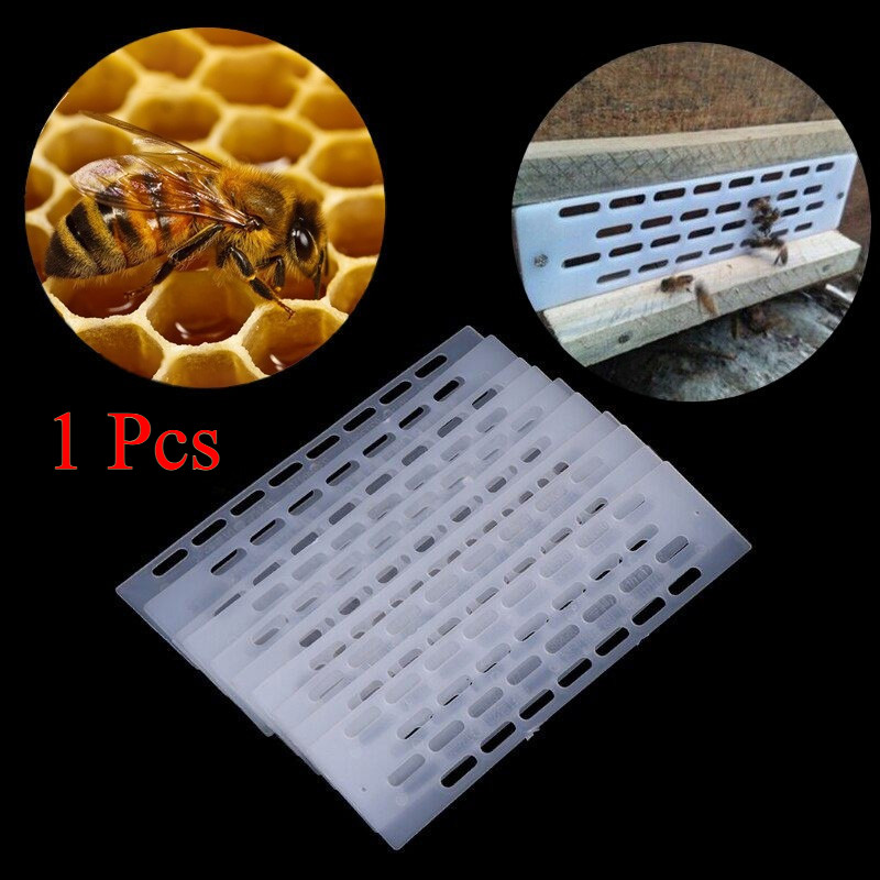 Bingkai Pengatur Jarak Plastik Ratu Lebah Anti-Kabur Peralatan Sarang Berkualitas Tinggi dan Tahan L