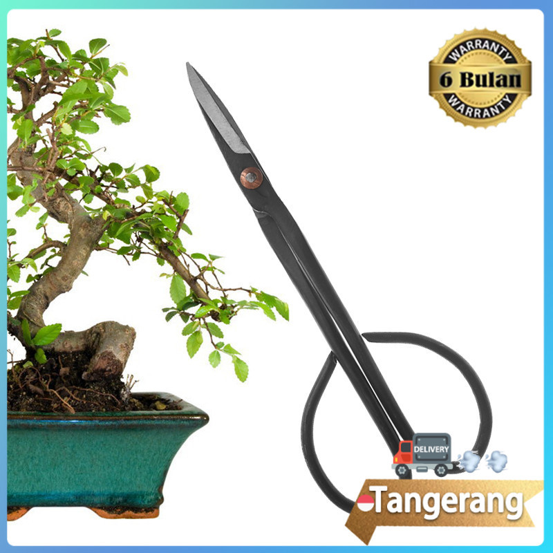 Gunting Pemangkas Tanaman Bonsai Bunga / Gunting Bonsai Prunning