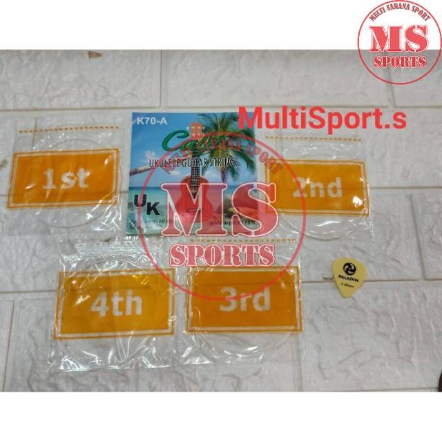 SENAR UKULELE 1 SET CAYE