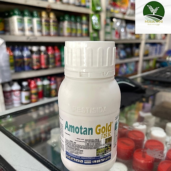 Amotan Gold 325 SC 250 ML Fungisida