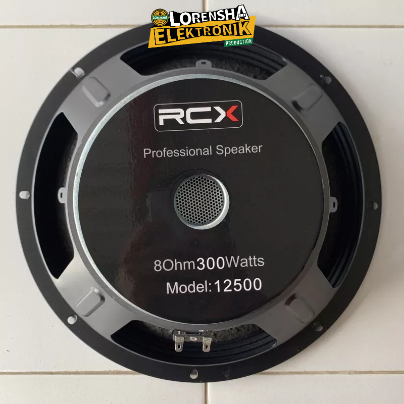 Speaker RCX 12  12500 Power 300Watt