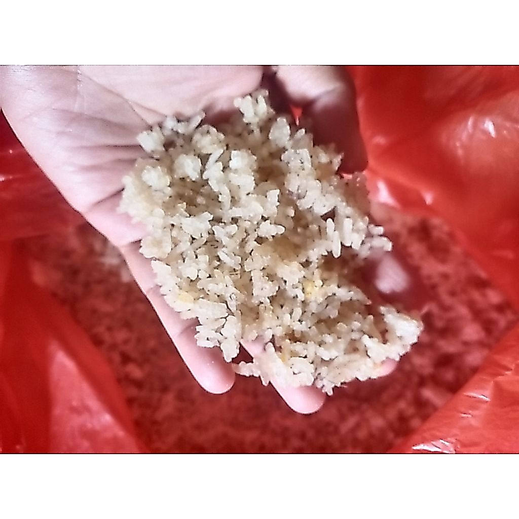 Ready Nasi Aking / Karak 1kg Karak berkualitas