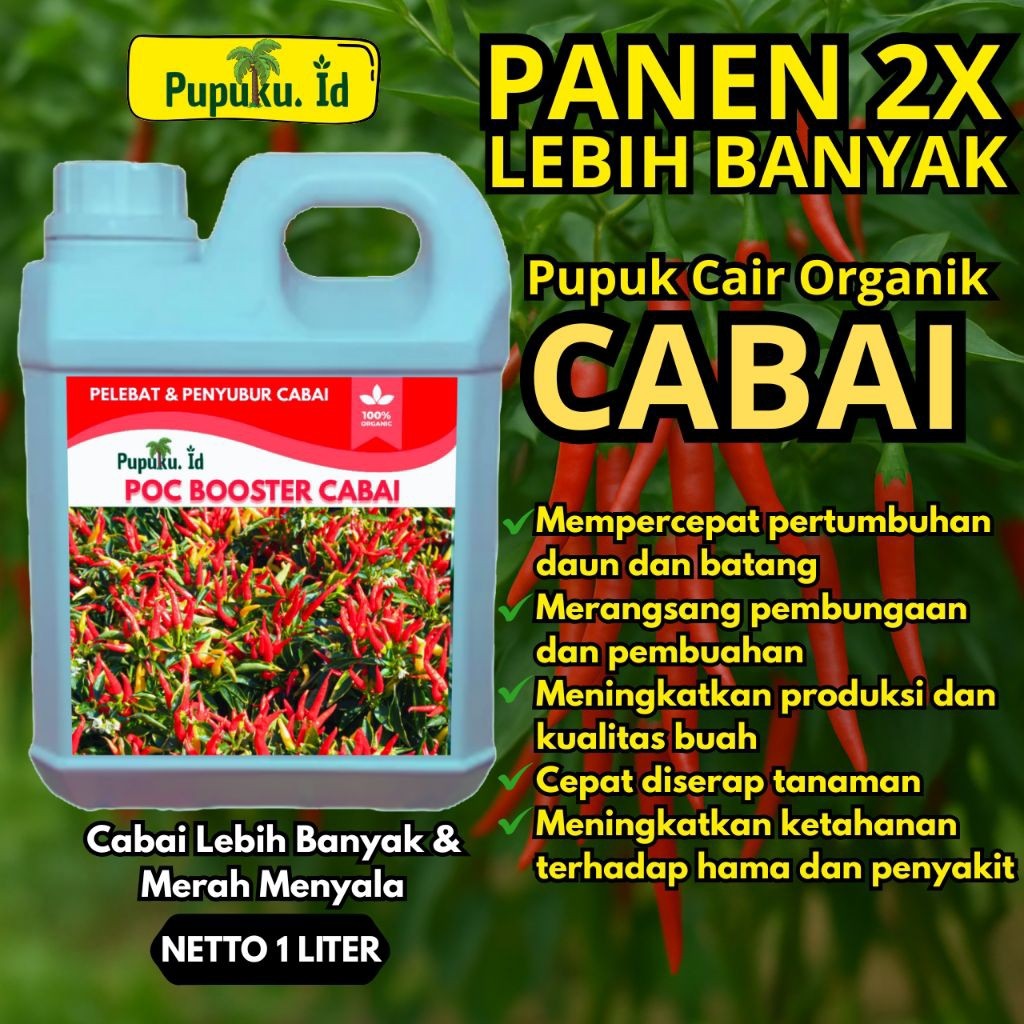 Pupuk booster cabai perangsang bunga dan pelebat buah anti rontok | pupuk pertumbuhan cabai agar cab