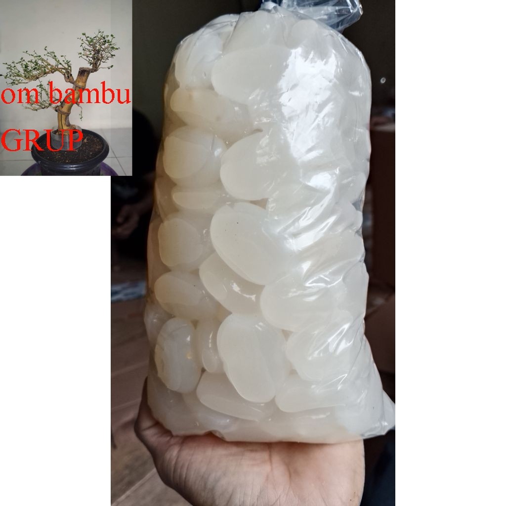 

Kolang-Kaling Premium Segar | Untuk Es Campur, Kolak, Dessert 1Kg