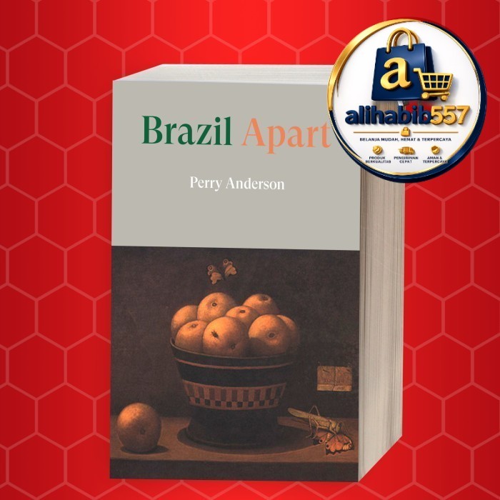 Brazil Apart 1964-2019 Perry Anderson
