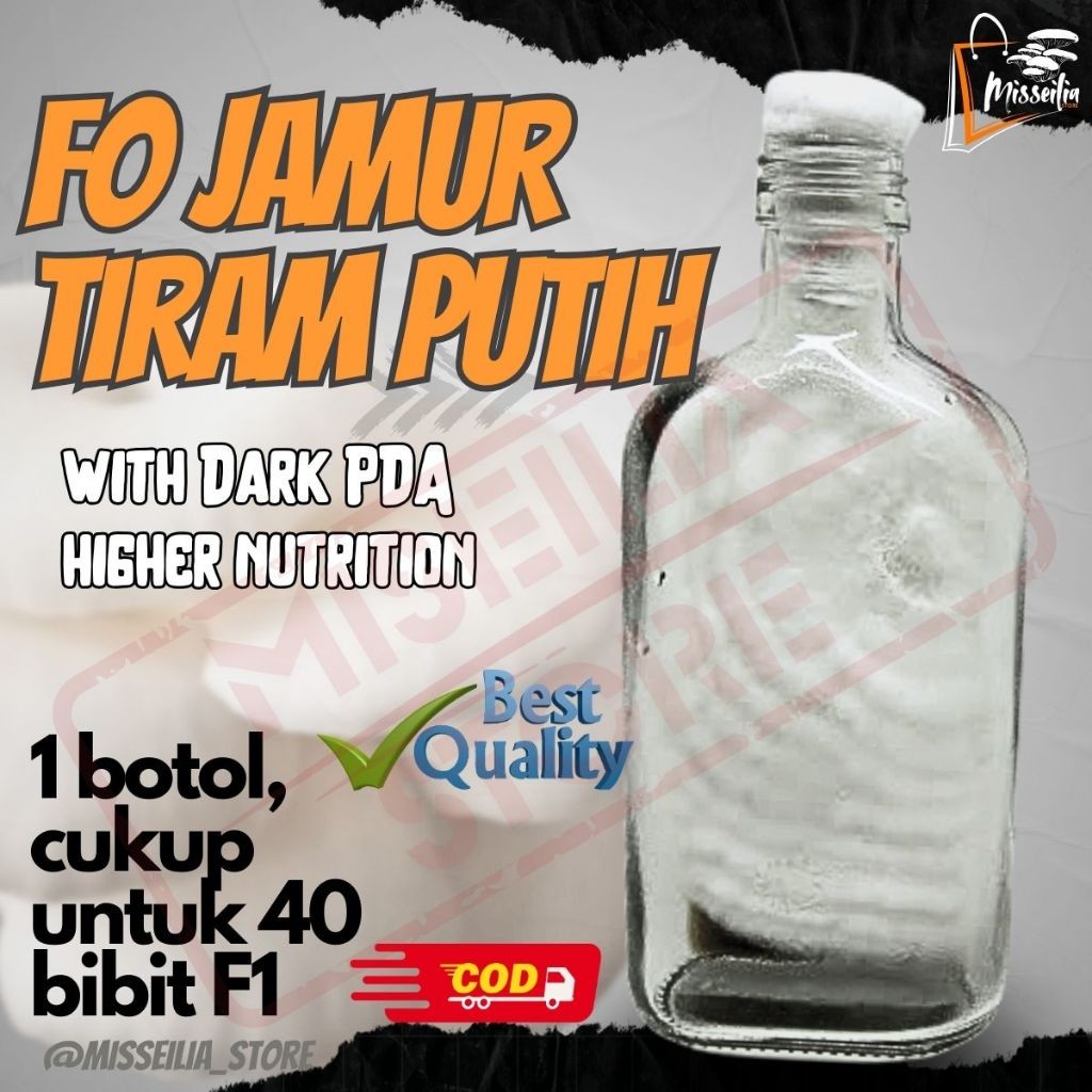 Bibit F0 Jamur Tiram Putih Benih Induk Berkualitas PDA Hitam
