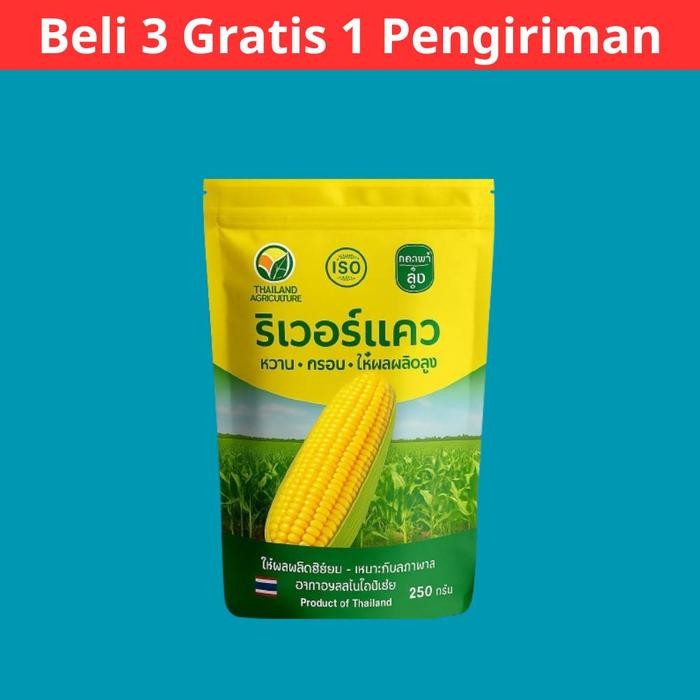 Benih Jagung Manis Thailand (Beli 3 Gratis 1) / Benih F1 Standar - 1 Bungkus 250 GRAM