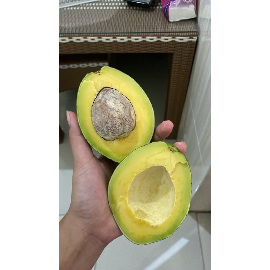 

Alpukat Mentega Kelud / Grade B / Alpukat Blitar / Alpukat Kelud / Isi 6-7