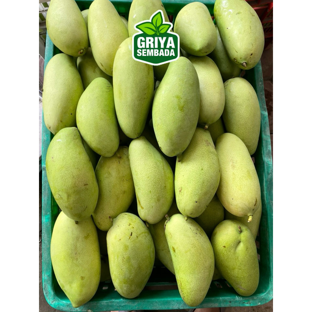 

instant Mangga Golek 1kg isi 2-3pcs sameday/Griya Sembada