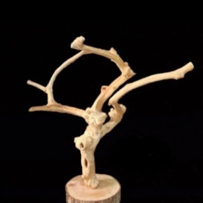 Angkringan Burung Kayu Kopi Kuat Dan Awet