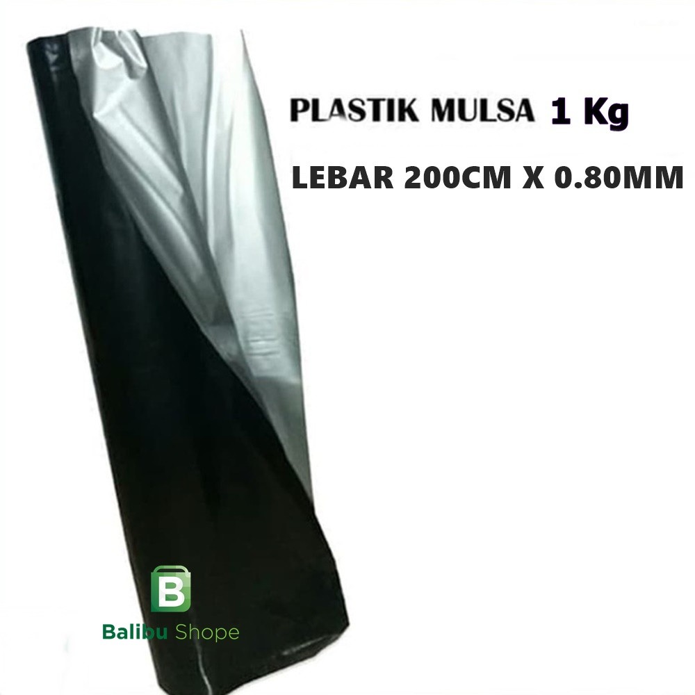 Plastik Mulsa 200 Cm Tebal 0,80mm Mulsa Hitam Perak