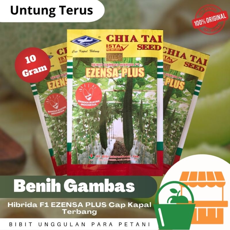 Bibit Benih Gambas Oyong EZENSA PLUS 10 gram Cap Kapal Terbang Best Seller